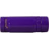 Монокуляр LEVENHUK RAINBOW 8×25 AMETHYST 72599